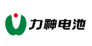 Lishen battery